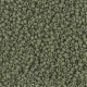 Miyuki rocailles Perlen 11/0 - Matted opaque olive 11-2318